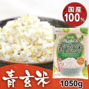 青玄米 無洗米 国産 ぷちぷち発芽青玄米 1050g 送料無料 玄米 げんまい 食物繊維 GABA ビタミン フィチン酸 発芽玄米 ぷちぷち 発芽 国内産 日本 日本産 食べやすい ベストアメニティ 1050グラム 【D】【B】