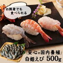 白姫えび 500g えび エビ 海老 国産 冷凍 生食 しらひめえび バナメイえび お取り寄せ 贈り物 ニッスイ 【TD】 【代引不可】