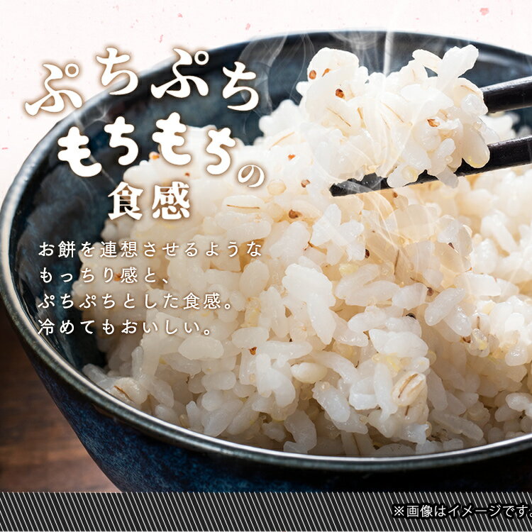 もち麦 国産 パック 小分け 600g (30g×20袋) チャック付き 雑穀米 国産 精白麦 雑...