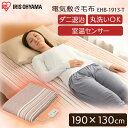 《限定価格》電気毛布 洗える 電気敷き毛布 190×130cm EHB-1913-T送料無料 電気しき毛布 敷毛布 ダブルサイズ ブラウン ボーダー柄 おしゃれ 冬 あったか ダニ対策 保温 丸洗い アイリスオーヤマ