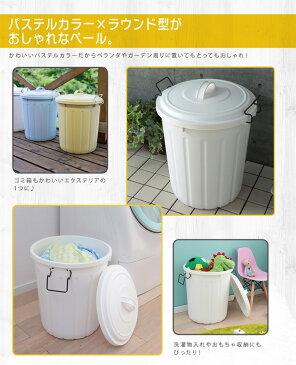 ソフトペール 45L PE-45L 全3色送料無料 ゴミ箱 ごみ箱 2段 ダストボックス ペール 積み重ね 分別 フタつき 色分け ゴミ箱ダストボックス ゴミ箱分別 ごみ箱ダストボックス 分別ゴミ箱 アイリスオーヤマ