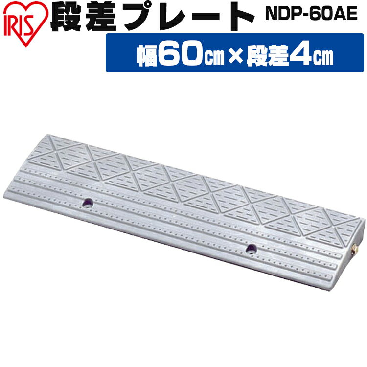 段差プレート 5cm段差 プラ NDP-60AE 幅60cm 段差プレート 段差スロープ スロープ 駐車場 段差解消 車 車庫 玄関 玄…