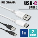 USB-CP[u 1m ICAC-A10 S2FP[u ʐMP[u [d f[^ʐMP[u [Ԃ USB Type-A Type-C 2dV[h USB ACXI[}y[ցzysEwszyMAILz