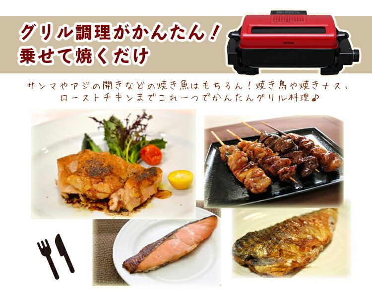 マルチロースター 魚焼き EMT-1101フィッシュロースター 魚焼き器 魚焼きグリル ロースター魚焼き ワイドグリル 両面焼き さんま 焼き鳥 洗える フッ素 脱臭 ガラス窓 タイマー付き 両面焼きロースター アイリスオーヤマ