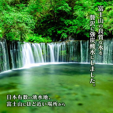 炭酸水 強炭酸水 水 ミネラルウォーター 炭酸 みず 富士山の強炭酸水500ml×48本 富士山の強炭酸水500ml 富士山の強炭酸水 500ml 強炭酸水500ml 48本 ケース アイリスフーズ アイリスオーヤマ　炭酸水 500ml アイリス【代引不可】【飲料】