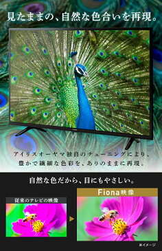 テレビ 32型 2K 外付けHDD録画機能対応 32WB10P送料無料 テレビ 液晶テレビ 32インチ 32V 新品 Fiona 地デジ BS CS 2K対応 ハイビジョン アイリスオーヤマ