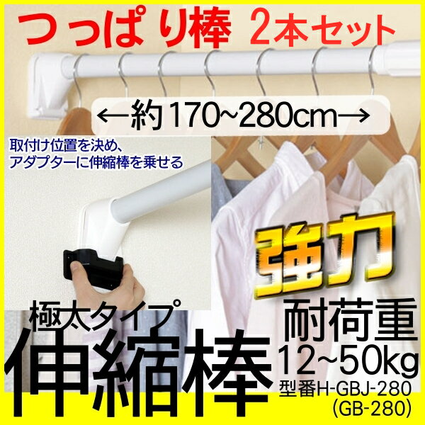 【2本セット】《幅170〜280cm》突っ張り棒 つっぱり棒 H-GBJ-280 極太強力伸縮棒 強力 伸縮棒 ハンガー 収納 押入れ 目隠し収納 クローゼット 棚 洗濯物 ハンガー 押入れ収納 衣類収納 おしゃれ 伸縮棚 アイリスオーヤマ 新生活