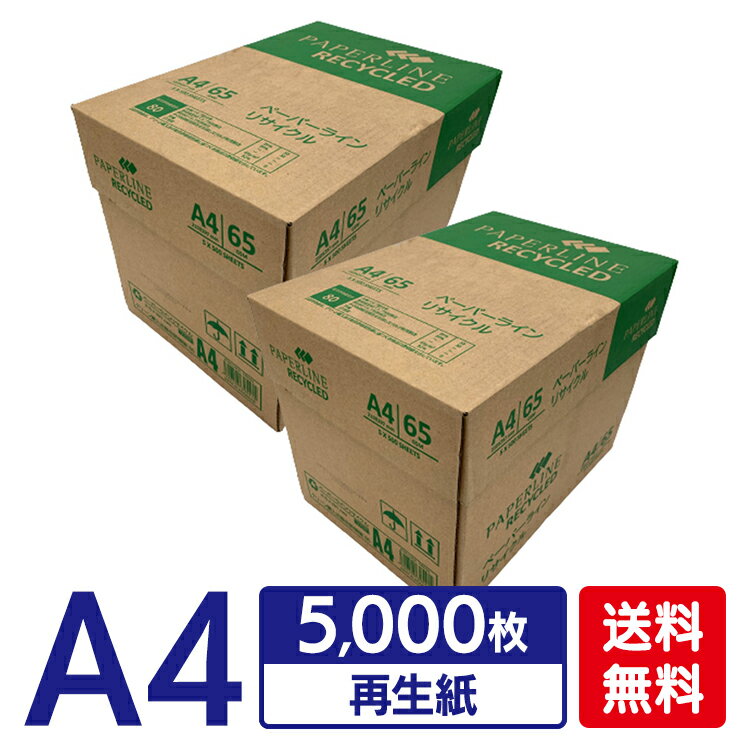 コピー用紙 A4 5000枚 送料無料 APPリサイクルコピー用紙 A4 PPR101コピー用紙 A4 5000枚 再生紙 リサイクル グリーン購入法 オフィス用品 白紙 紙 印刷用紙