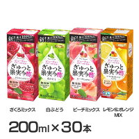 【30本】ぎゅっと果実+酢 200ml お酢 ドリンク 果実酢 飲む酢 紙パック フルーツビネガー 無添加 ザクロ 果実酢 酢 果汁100% リンゴ酢 果実 無添加 少容量 エルビー ざくろミックス 白ぶどう ピーチミックス レモン&オレンジMIX【D】