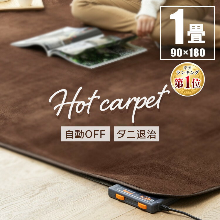 【5％OFFクーポン有！19日14時迄】 ホットカーペット 1畳 本体 90×180cm 電気カーペット 電気マット カーペット 電気 カーペット マット 1畳 1畳用 一人用 足元 冬 タイマー付 タイマー 一人暮らし 足元暖房 足元用 TEKNOS HC-IR100