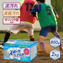 洗濯洗剤 粉 スポーツウェア 粉末洗剤 強力洗浄 抗菌 消臭 泥汚れ 汗 血液 無香料 ユニフォーム 練習着 靴下 0.8kg