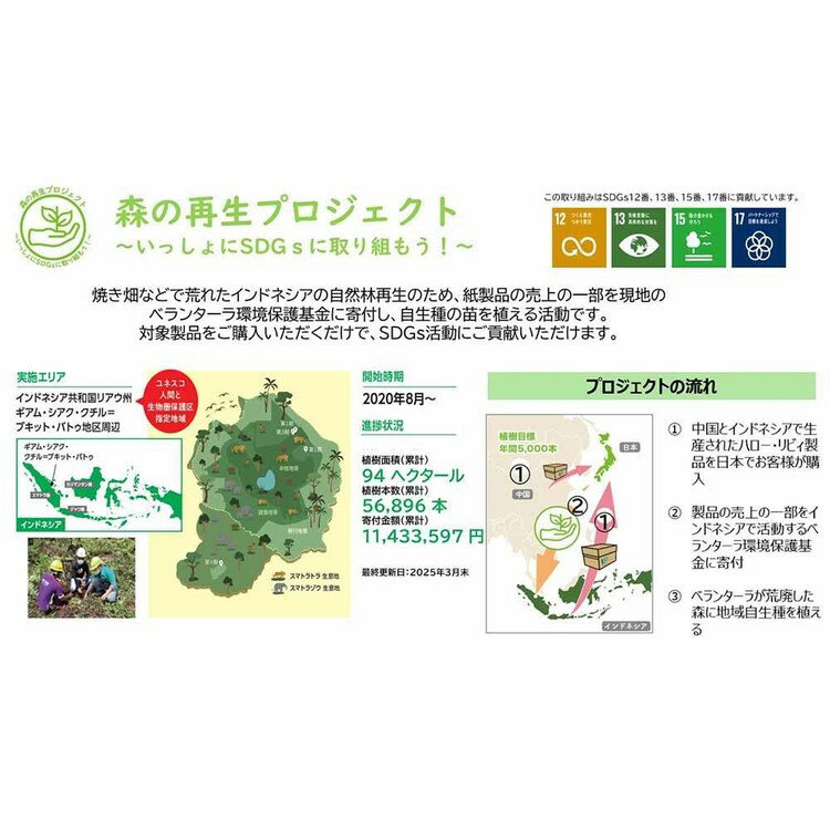 ≪ポイント2倍★18日9:59迄≫ハロー ソフトパックティッシュ 160組 30個 5221ティッシ...