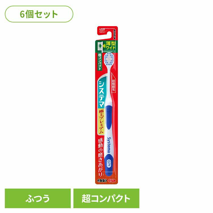 ��6�ĥ��åȡۥ����ƥ� �ϥ֥饷 �˾�ץ�ߥ��� Ķ����ѥ��� �դĤ��饤���� �����ƥ� ������륱�� ���֥饷 �����¥��� �˾�ץ�ߥ��� Ķ����ѥ��� �դ�...