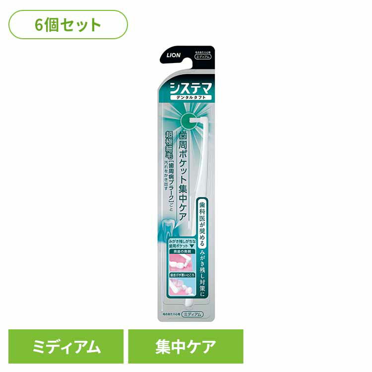 ��6�ĥ��åȡۥ����ƥ� �ǥ󥿥륿�ե� �����ݥ��åȽ��楱���饤���� �����ƥ� ������륱�� ���֥饷 �����¥��� �ǥ󥿥륿�ե� �餤���� �����ݥ��åȽ��楱...