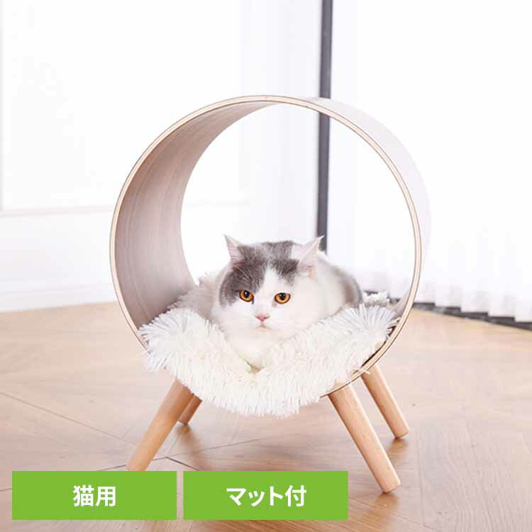 トンネル型キャットチェア マット付 YS133192ペットファニチャー 木製 据え置き スリム 猫 ねこ おしゃれ KIRA