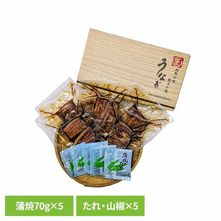静岡うなぎ漁業協同組合　静岡県産うなぎ蒲焼　カット5枚 うなぎ 静岡 蒲焼 カット 国産 グルメ お取り寄せ ギフト 贈答 冷凍 【TD】 【代引不可】