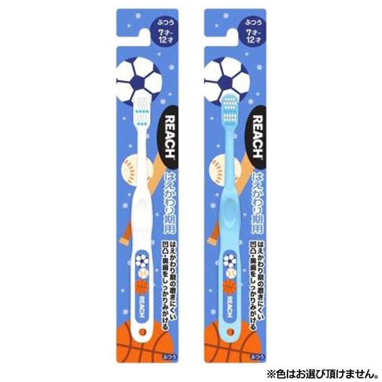 リーチ キッズ歯ブラシ ボール はえかわり期用 ふつう 1本 25213リーチ REACH キッ...