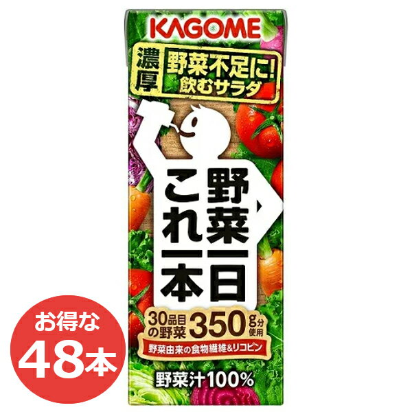 カゴメ 野菜一日これ一本　200ml 野菜ジュース 飲料 紙パック KAGOME カゴメ リコピン 朝食 無添加 安心 栄養 健康