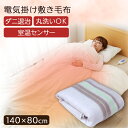 《25日ポイント5倍》電気毛布 洗える 敷き毛布 グリーン系...