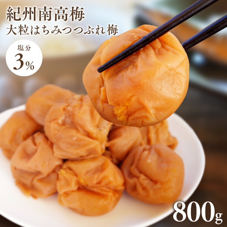 減塩紀州はちみつ つぶれ梅 塩約3%800g（400g×2） 蜂蜜 お得 つぶれ梅 紀州産 訳あり 減塩 塩分3% 大粒 甘口 家庭用【D】