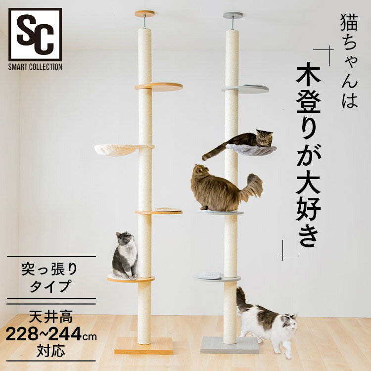 木登りキャットタワー KCCT‐244 キャットタワー 猫タワー 突っ張り キャットランド キャットポール 猫ツリー 木製 省スペース 爪とぎ 多頭飼い ナチュラル（NA) グレー（GY）