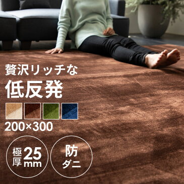 低反発ラグ 200×300cm 95527 95528 95529 95530 絨毯 カーペット ラグ ラグマット マット ベージュ ブラウン グリーン ネイビー【D】