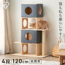 ナチュラルキャットタワー NCT-4送料無料 キャットタワー 木製 据え置き キャットツリー キャットハウス 4段 高さ120cm ボックス 爪とぎ 猫 ねこ ネコ ペット用品 木調 おしゃれ かわいい アイリスオーヤマ