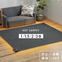 ホットカーペット 1~3畳 本体 TEKNOS ホットカーペット ホットマット 電気カーペット 1畳 1.5畳 2畳 3畳 長方形 暖房器具 足元 暖房 ダニ退...