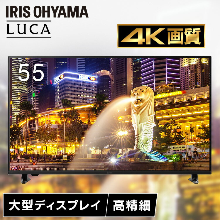 【設置サービス対象】 大型ディスプレイ 55型 4K 高精細 ハーフグレア 反射を低減 壁掛け オフィス 会議 学校 授業 55v型 大型モニター 液晶ディスプレイ アイリスオーヤマ DO-DU554S (HS) *[2512SX]