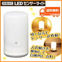 ≪レビューを書いて送料無料≫乾電池式LEDセンサーライト BSL-10L　ホワイト【照明/停電/エコ/懐中電灯】【アイリスオーヤマ】【RCP】[敬老　プレゼント]【201503wadai】【201503shin】