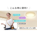 シーリングライト おしゃれ 8畳 led 調光調色 天井照明 照明器具 電気 音声操作 プレーンCL8DL-5.11Vメタルサーキット 節電 音声 声で操作 声操作 アイリスオーヤマ【送料無料】 2