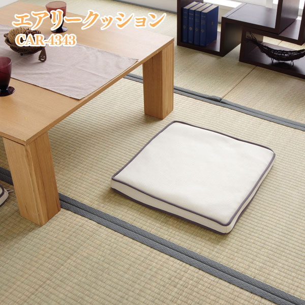 アイリスオーヤマ エアリークッション CAR-4343