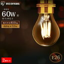 【2個セット】 LEDフィラメント電球 E26 60W相当 LDA7N-G-FCled 照明 ライト 電球 E26口金 一般電球 810lm 密閉型器具対応 非...