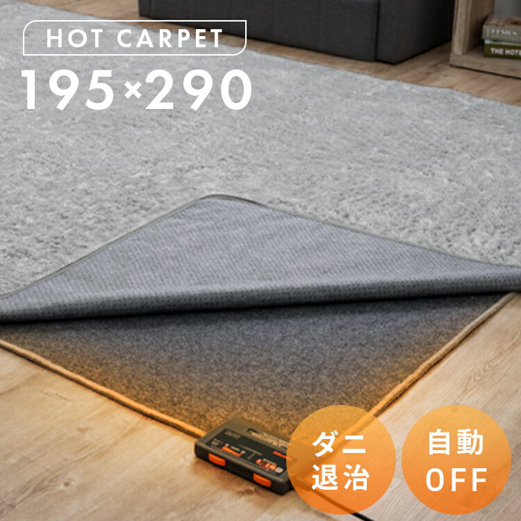 ホットカーペット 4畳 本体 195×290 長方形 電気カーペット ホットマット 電気マット 速暖 暖房 面積切..