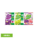 ララクラッシュ 24g×8個入 ララクラッシュ ゼリー 蒟蒻畑 アソート 食物繊維 ヘルシー おやつ 果物 マンナンライフ 食感 特定保健用食品 マンナンライフ 蒟蒻畑_ぶどう味 蒟蒻畑_マスカット味 アソート/グレープ&ピーチ味