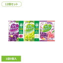 【12個】ララクラッシュ 24g×8個入 ララクラッシュ ゼリー 蒟蒻畑 アソート 食物繊維 ヘルシー おやつ 果物 マンナンライフ 食感 特定保健用食品 マンナンライフ 蒟蒻畑_ぶどう味 蒟蒻畑_マスカット味 アソート/グレープ&ピーチ味