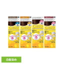 ムースカラー ヘアカラー ホーユー シエロ CIELO 白髪染め ムース ワンプッシュ アッシュブラウン フローラル hoyu アッシュブラウン かなり明るいキャラメルブラウン より明るいピンクブラウン 明るいピンクブラウン