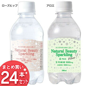 炭酸水 280ml 24本送料無料 ローズヒップ アロエ ナチュラルビューティースパークリング 24本セット ヒアルロン酸 ビタミンC 高濃度炭酸 ソーダ soda【D】