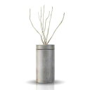 ≪送料無料≫ リードディフューザー アロマディフューザー 【B】リードディフューザー 芳香剤 ルームフレグランス ディフューザー リードディフューザ アロマ MRU-33N Honey suckle Magnolia【TC】【●10】