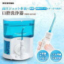 口腔洗浄器 ブルー PMW-6216D-A送料無料 口洗浄 ...