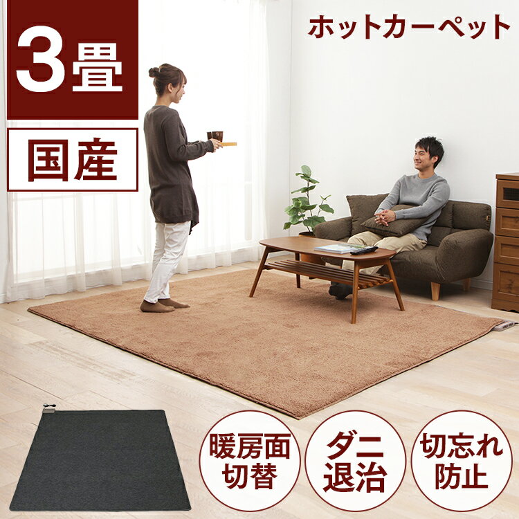 ホットカーペット 3畳 本体 195×235cm 暖房面切替 ダニ退治 自動OFF こたつ併用可 電気カーペット 3畳..
