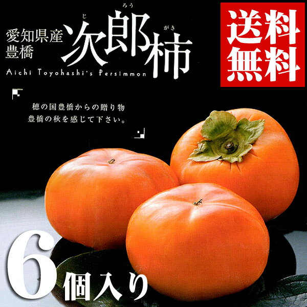 フルーツの目利きが厳選！『愛知県産&nbsp;次郎柿&nbsp;6個入り』&nbsp;【ギフト】【送料無料】【内祝い】【お祝い】【お見舞い】【贈り物】【お取り寄せグルメ】【楽ギフ_のし宛書】