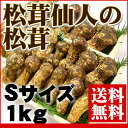 築地市場の松茸仙人が厳選する秋の味覚!『築地市場の松茸 Sサイズ 1kg』 【まつたけ】【マツタケ】【ギフト】 【送料無料】【内祝い】【楽ギフ_のし宛書】【05P09Jan16】