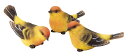【全商品ポイントキャンペーン中】S7527　 森の小鳥　　　3個セット　置物　　小鳥/オーナメント/置物/ガーデニング/オブジェ