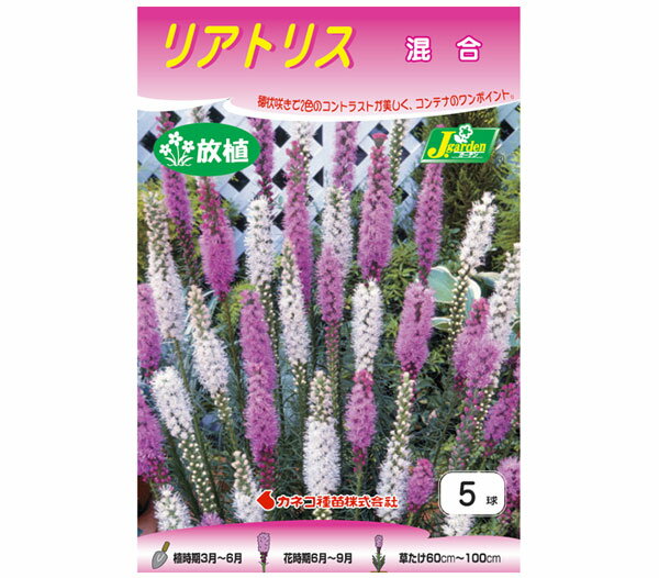 �庬/�ꥢ�ȥꥹ������5������