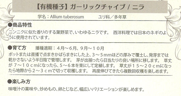 ハーブの種：有機種子 ガーリックチャイブ（ニラ）[タネ]