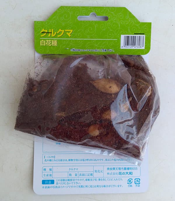 �庬/���륯����ּ�����2������