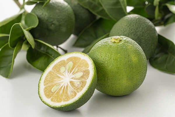 �̼�����/���ܥ�4��5��ݥå�