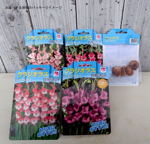 �庬/���饸���饹���ե��󥳡��������� 4������