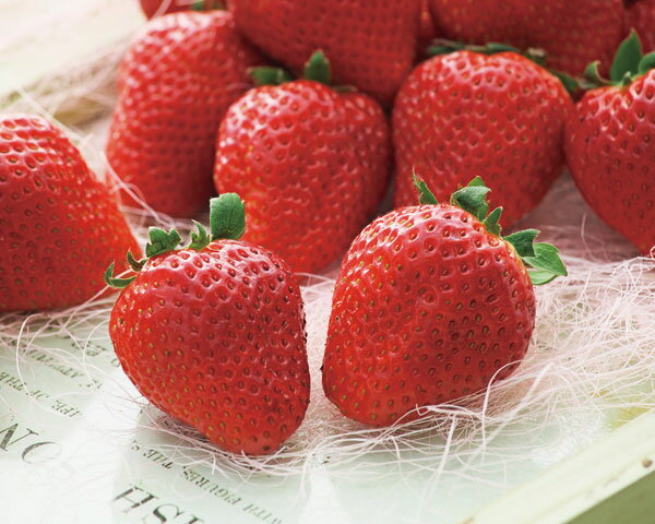 ��ڤ���/�������ʰ쵨�ʤ�ˡ��⤦���ä�����4��ݥå�(PVP)